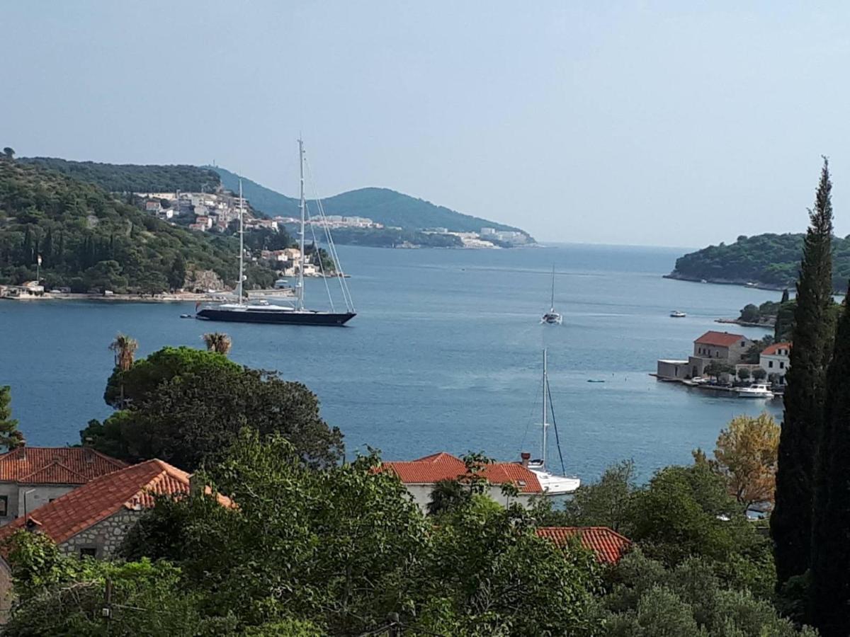 Apartment Ljuta Naranca Zaton (Dubrovnik-Neretva)